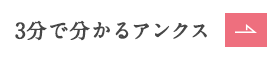 3分で分かるアンクス