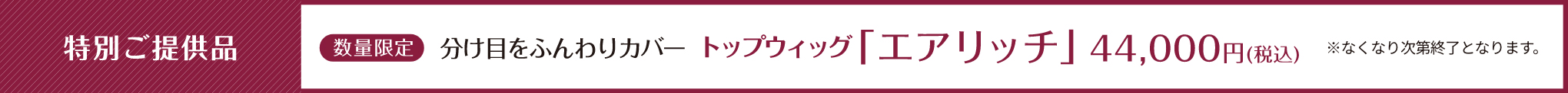 特別ご提供品 数量限定 分け目をふんわりカバー トップウィッグ「エアリッチ」44,000円（税込） ※なくなり次第終了となります。