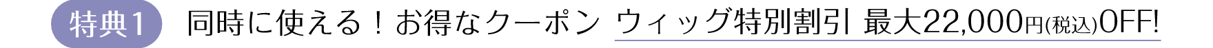 特典1 同時に使える！お得なクーポン ウィッグ特別割引 最大22,000円（税込）OFF！