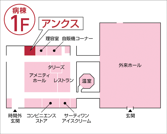 アンクス 北海道大学病院店 館内図