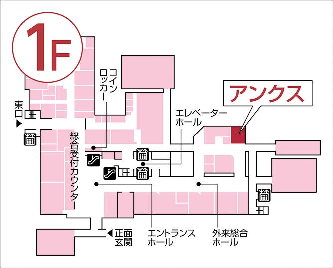 アンクス 国立がん研究センター東病院店 館内図